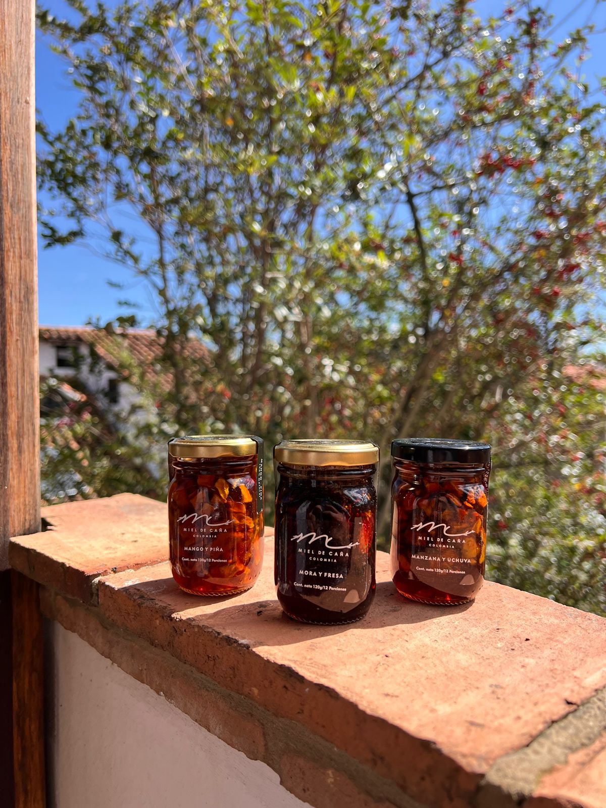 MIEL DE CAÑA MANGO-PIÑA 120g