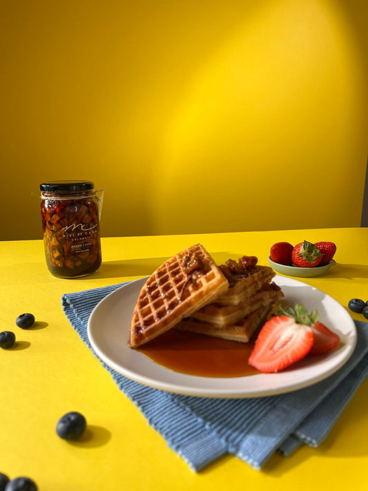 USOS DE LAS MIELES DE CAÑA CON TROCITOS DE FRUTA DESHIDRATADA